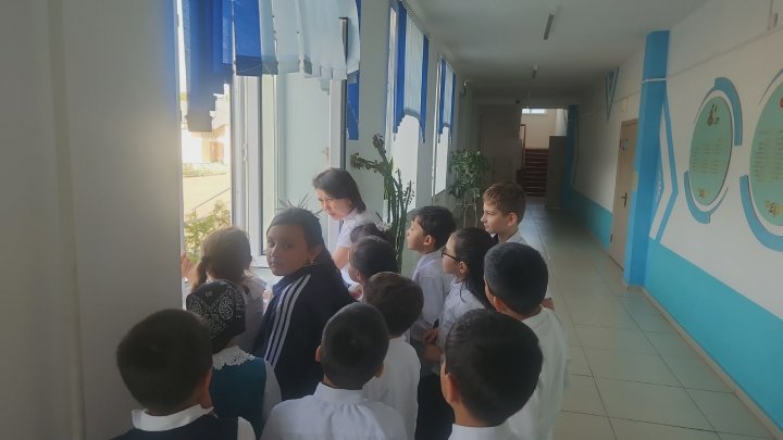 Терезені ашу және пайдалану кезіндегі қауіпсіздік талаптары